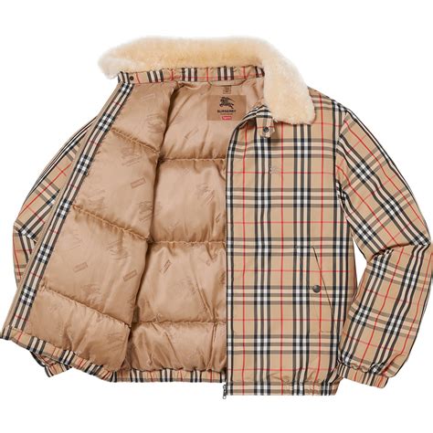 supreme burberry shearling collar down puffer jacket beige